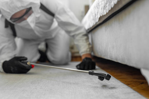 Professional Termite Control technician working in South Weber, UT