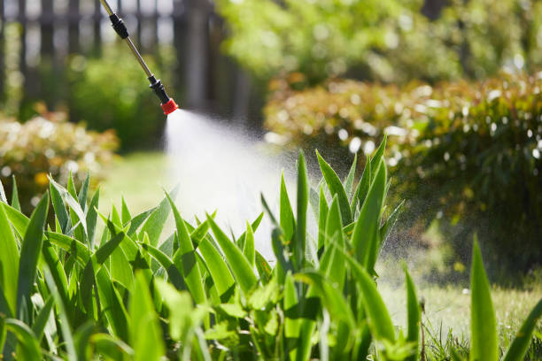 24/7 Emergency Termite Control experts in South Weber, UT