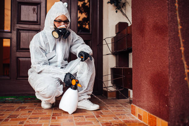 Reliable Termite Control contractor in South Weber, UT by Nex Pest Control