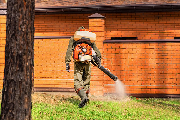 Trusted Ant Control service in South Weber, UT - Nex Pest Control
